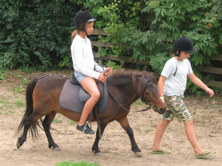 Shetlænder Bygge´s  Malissa <3 - Sascha prøver en tur på hende <3 billede 9