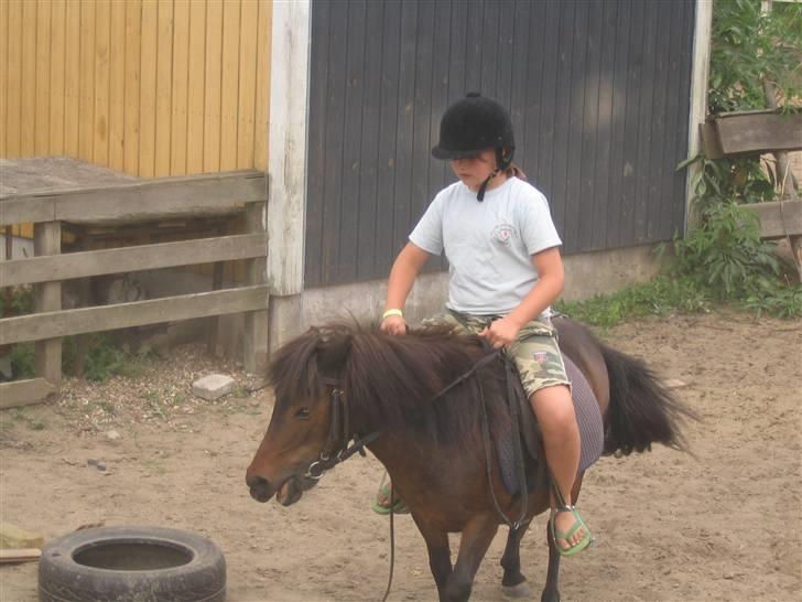 Shetlænder Bygge´s  Malissa <3 - Saria ridder hende <3 billede 10