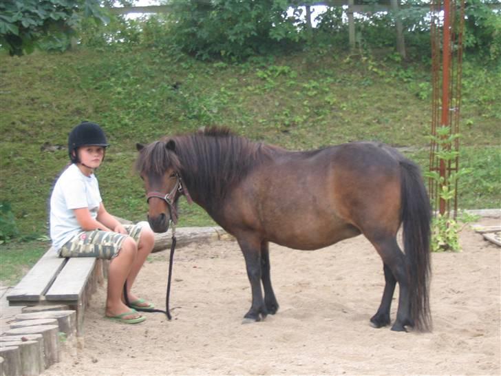 Shetlænder Bygge´s  Malissa <3 - Saria er sammen med malissa, <3 billede 11