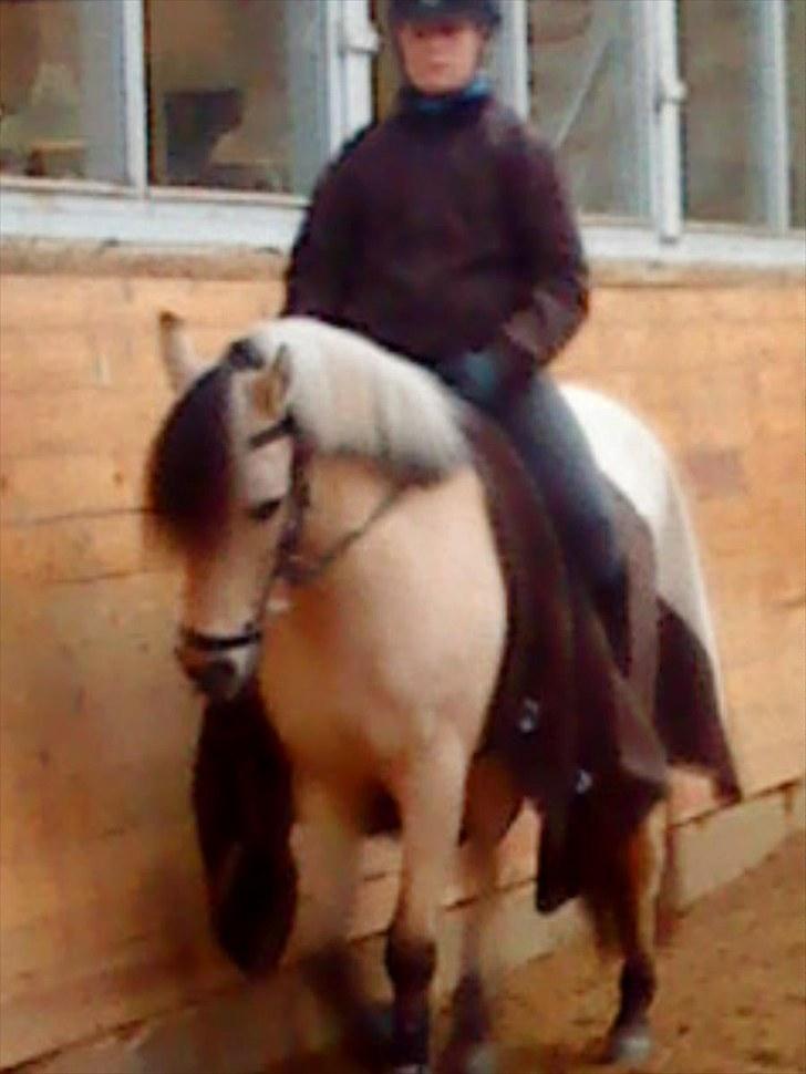 Anden særlig race Miss Milka(Tidl. halvpar) - Farvel! Skridter varm billede 20