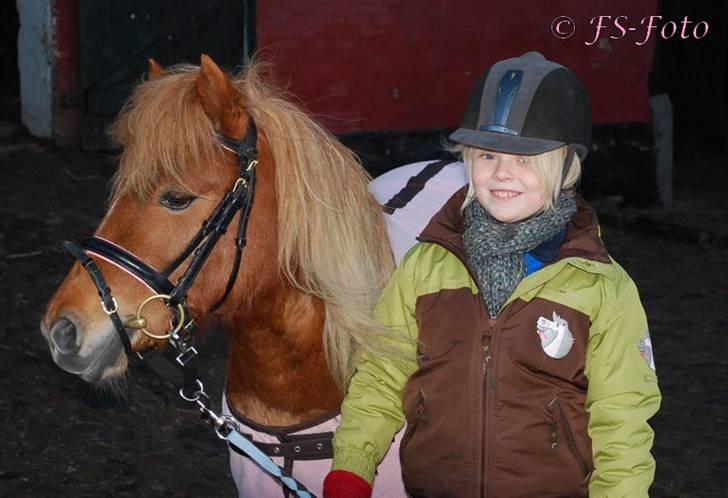 Shetlænder Baronessen A' Borreby. - Nissen & mig <33 Foto: FS-Foto billede 17