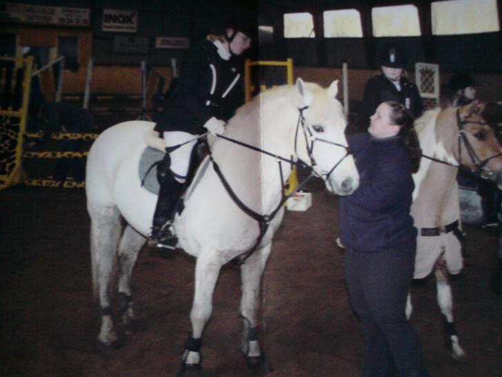 Connemara Nørlunds Sweet Dream   billede 9