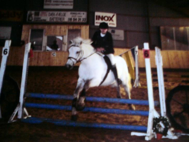 Connemara Nørlunds Sweet Dream   - Vores aller første stævne sammen, startede Le. billede 12