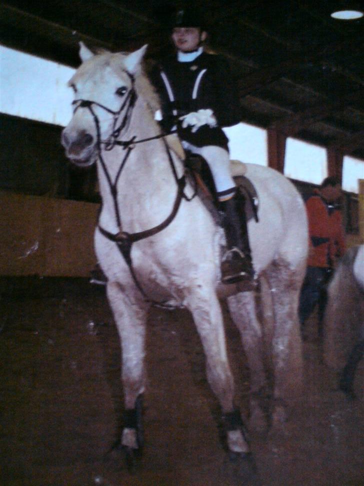 Connemara Nørlunds Sweet Dream   billede 13