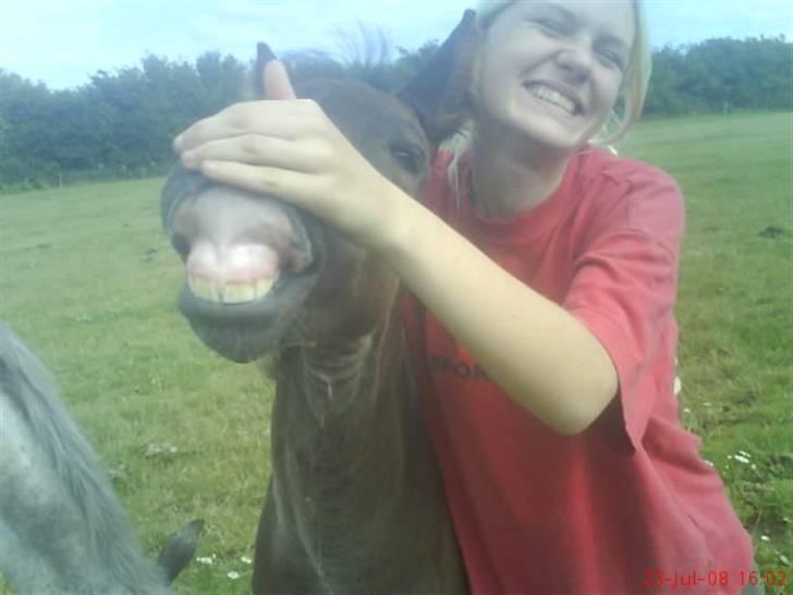 Knabstrupper Toftegaardens Lexus - Smil til kameraet ! :D {Foto: Pernille} billede 8