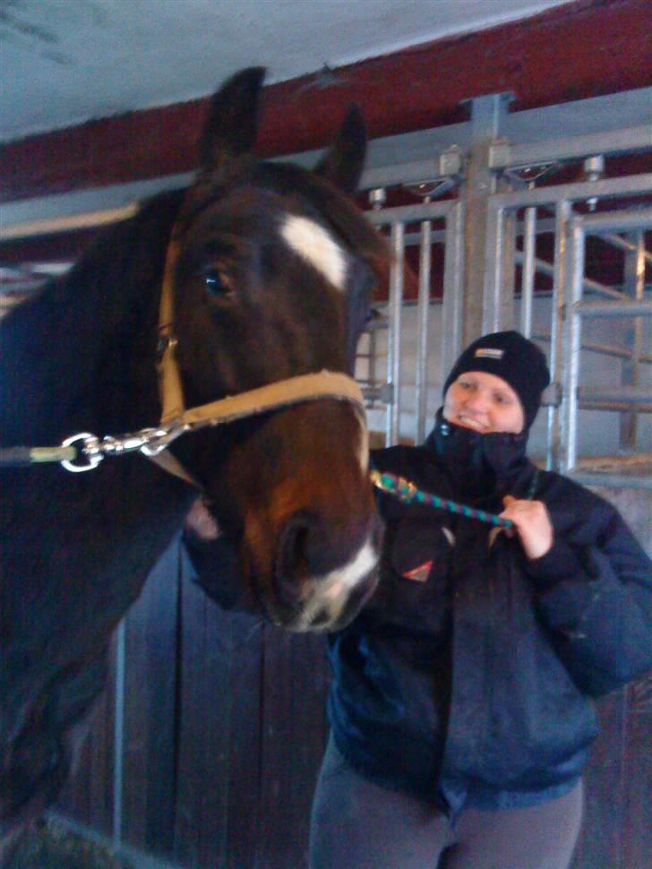 Oldenborg Okholms Armani II egen avl billede 12