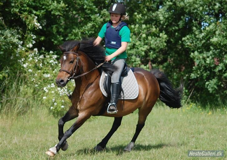 Anden særlig race Kiwi - Vi får os lige en galoper. Foto: Camilla Petersen (CP-foto) billede 11