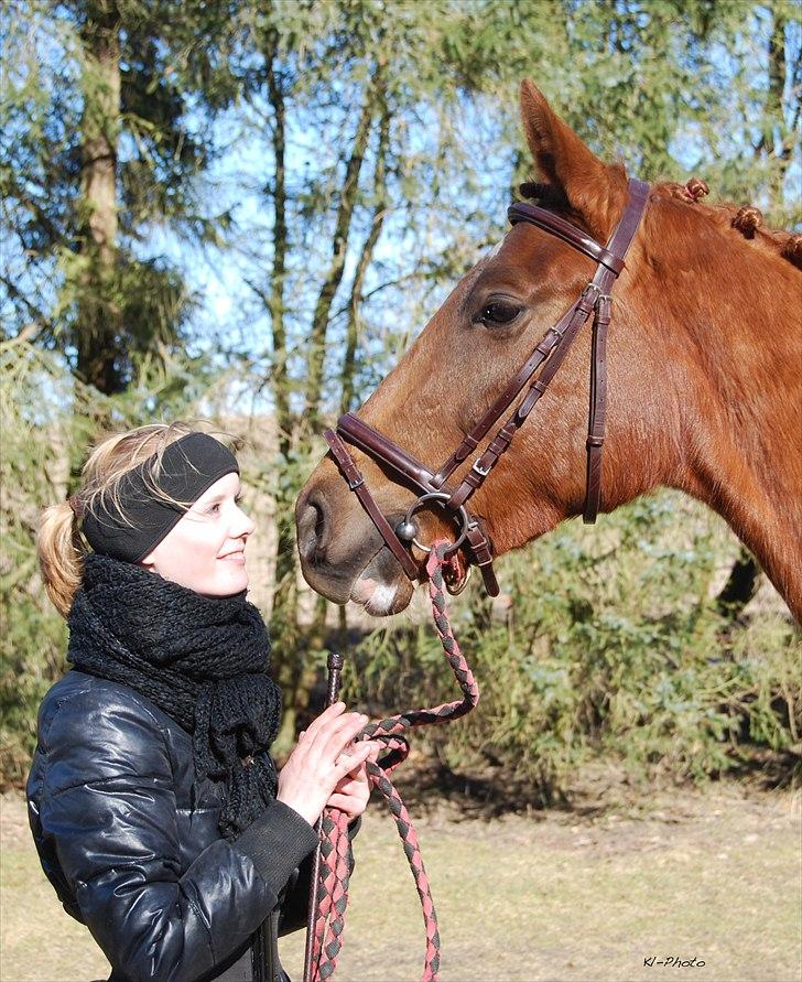 Dansk Varmblod Lana Leth  - kys :* billede 5