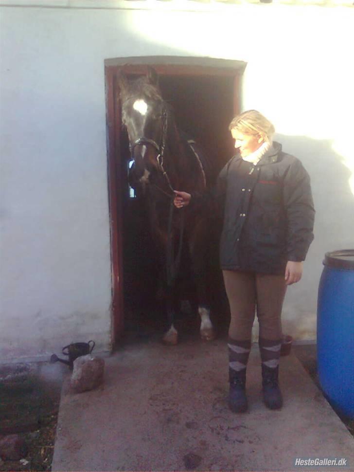 Oldenborg Okholms Armani II egen avl billede 20