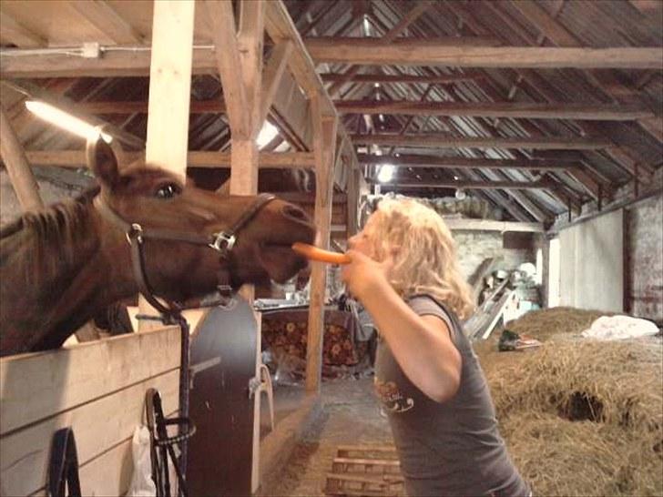 Anden særlig race Kiwi - pony kan næsten kysse!<3 billede 13