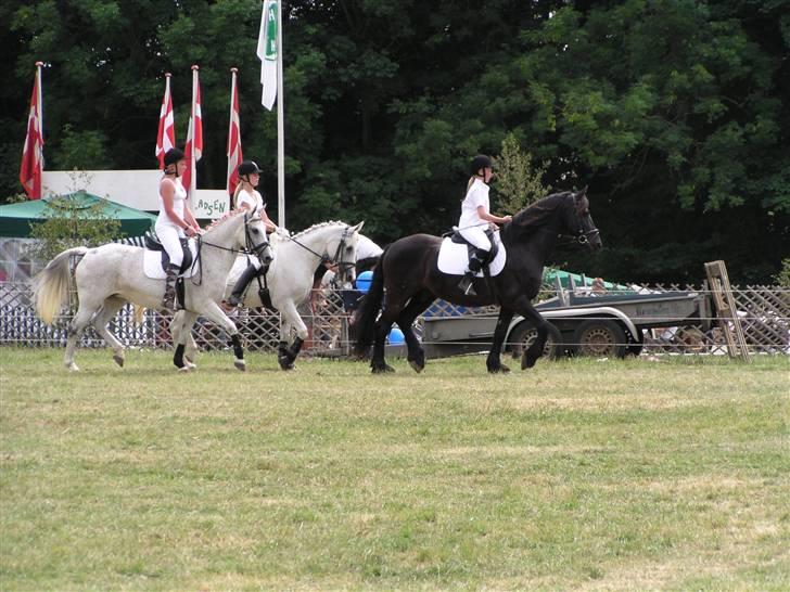 Frieser Jelle - bregentved kvadrille 08 billede 5