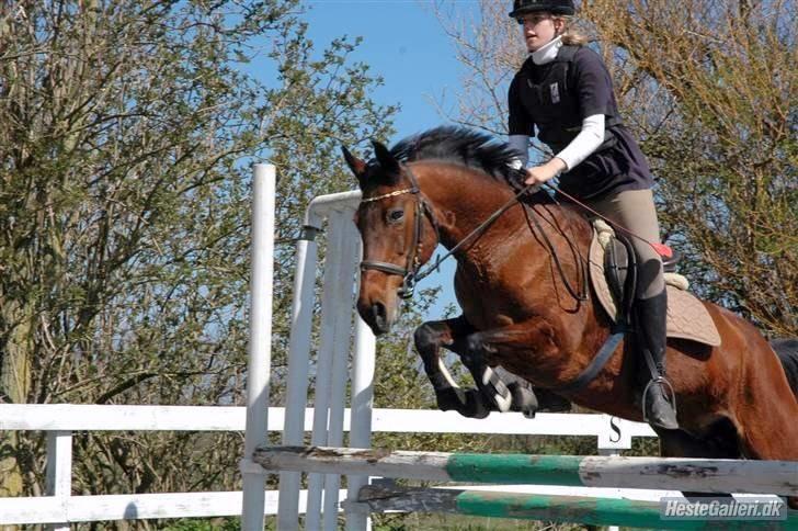 Anden særlig race Rinal (RIP) billede 5