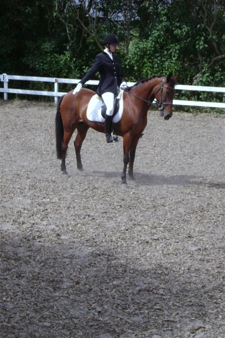 Anden særlig race Rinal (RIP) billede 6