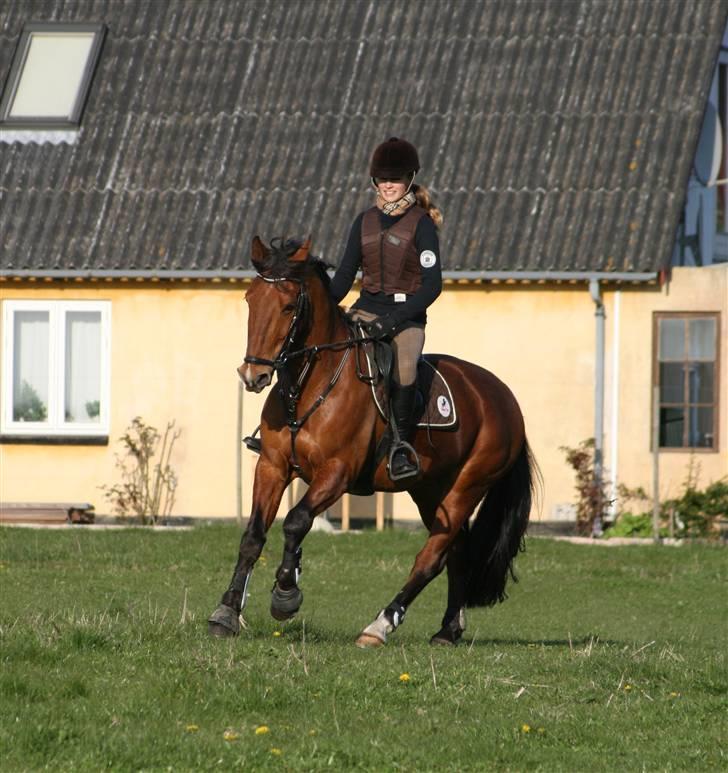 Anden særlig race Mr. Karco - Træning til military :´) billede 12