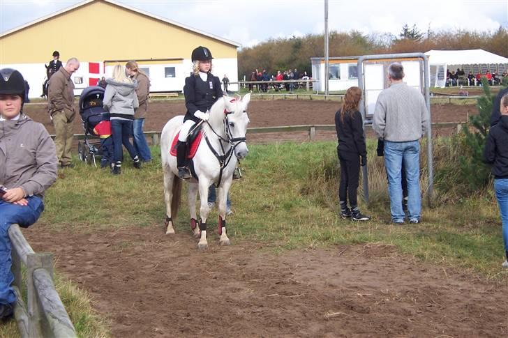 Anden særlig race Nørgårds Sanne..'<3 - venter på vi skal ind og springe i SRLR :´) billede 2