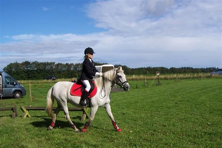 Anden særlig race Nørgårds Sanne..'<3 - Mig og Sanne i LD clear round :b billede 3