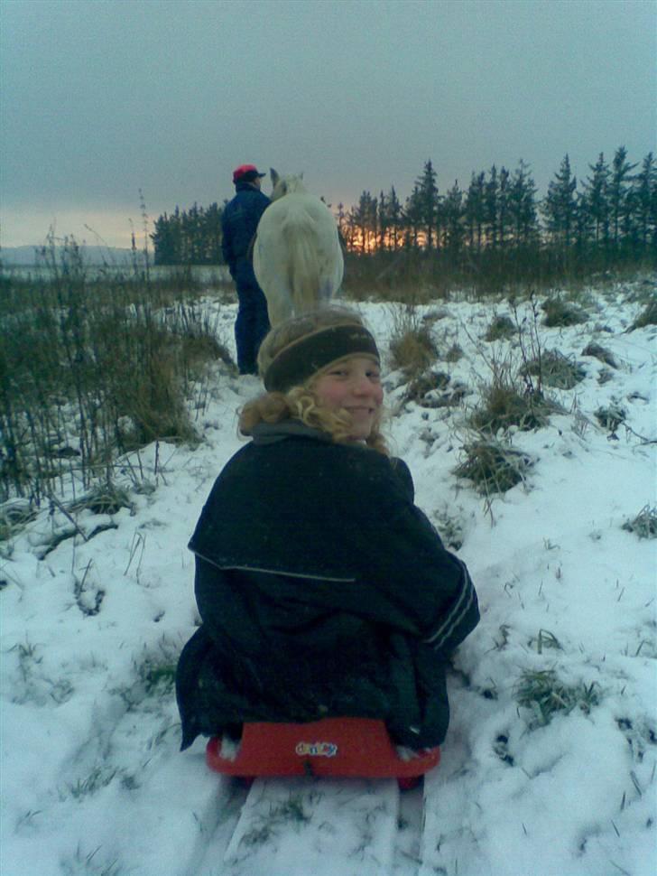 Anden særlig race Nørgårds Sanne..'<3 - Kælkning efter Sanne 2009 (-; billede 4