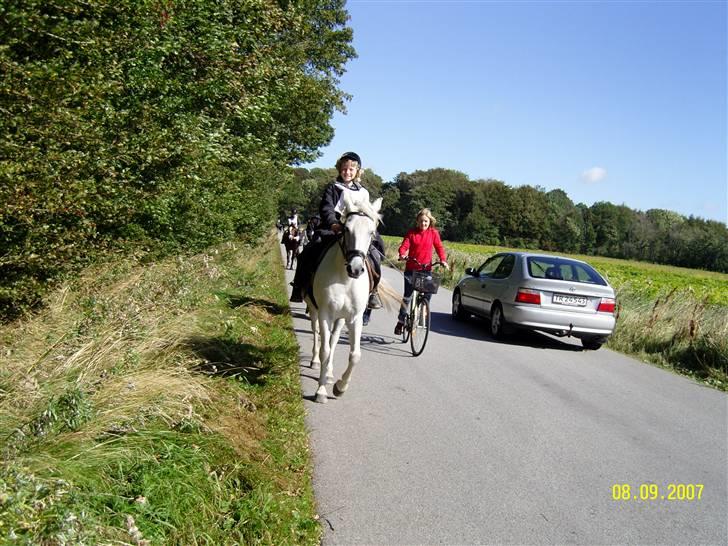 Anden særlig race Nørgårds Sanne..'<3 - på 6 km ruten, 2007!:D<3 billede 5