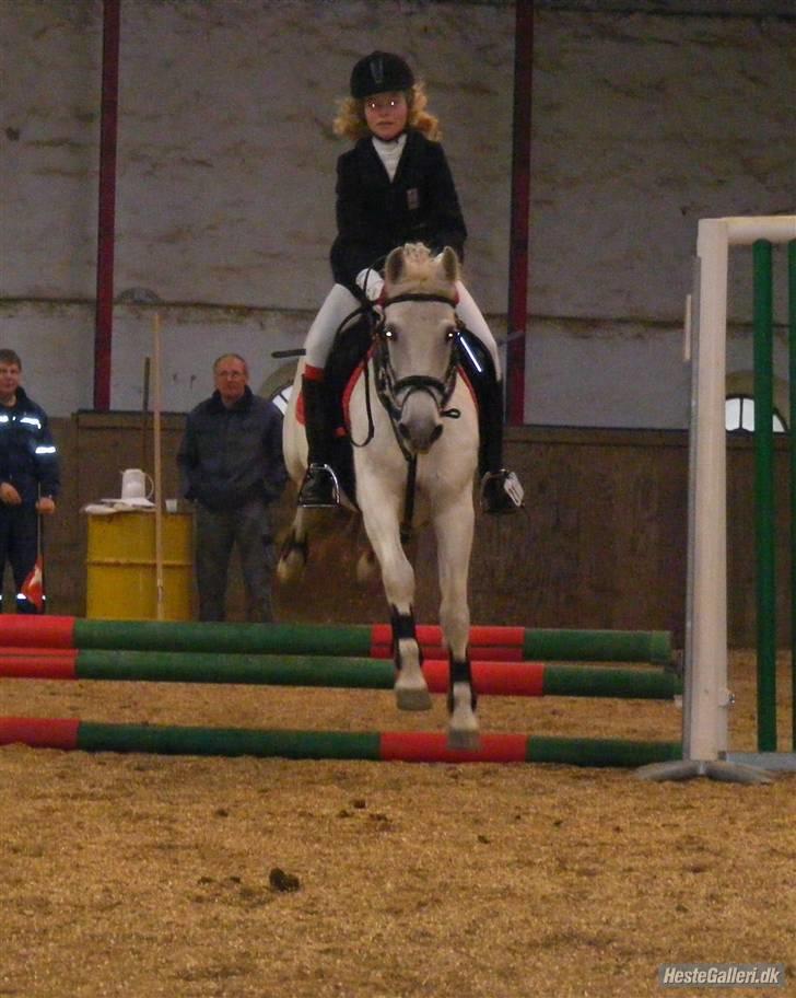 Anden særlig race Nørgårds Sanne..'<3 - Klubstævne i DRLR, Sanne og jeg vandt LD´en!;D<3. billede 6