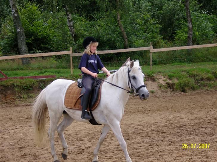 Anden særlig race Nørgårds Sanne..'<3 - 2007: det bedste år i mit liv, fordi jeg fik dig min lille mus :-) billede 8