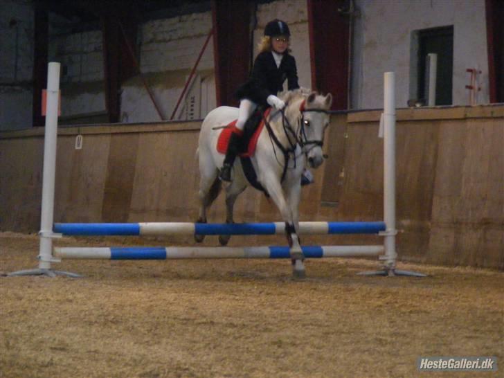 Anden særlig race Nørgårds Sanne..'<3 - Klubstævne i DRLR, Sanne og jeg vandt LD´en!;D<3. billede 9