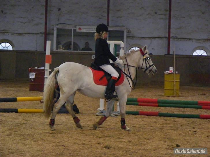 Anden særlig race Nørgårds Sanne..'<3 - Klubstævne i DRLR, Sanne og jeg vandt LD´en!;D<3. billede 11