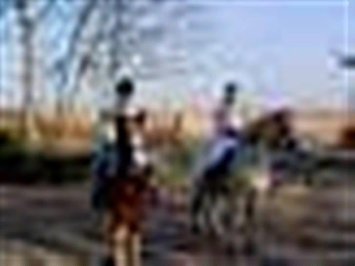 Pinto Felix - Den uimodstålige<3 - Fastalavn for læææææææænge siden! billede 13