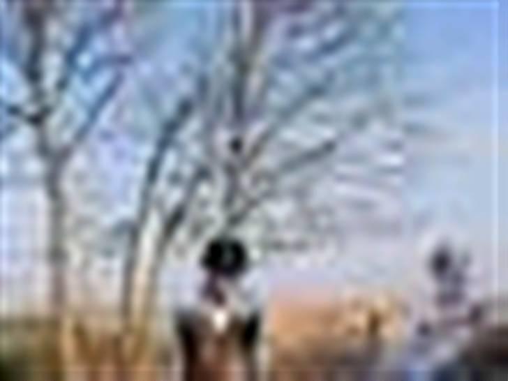 Pinto Felix - Den uimodstålige<3 - Fastalavn for læææææææænge siden! billede 14