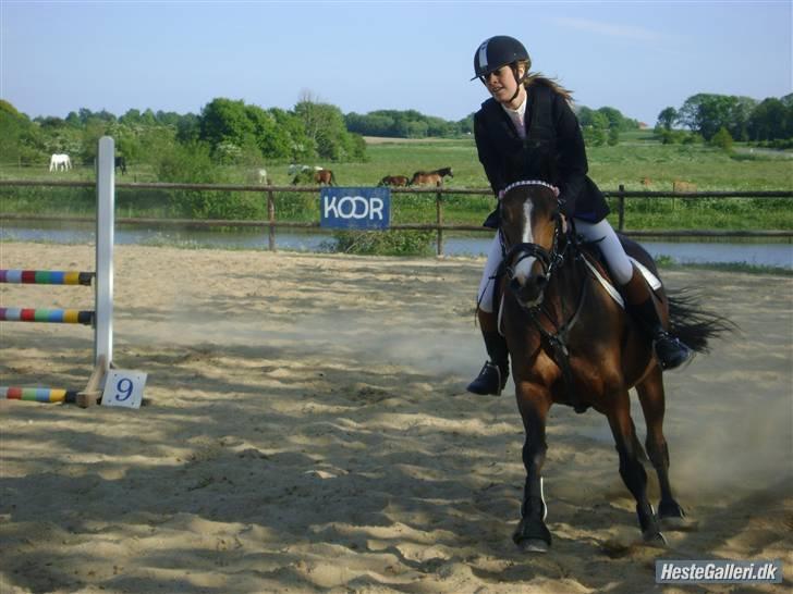 Tysk Sportspony Pamina - Det skønneste egern<3 - KOOR 2010 - LA 3.plads. billede 17