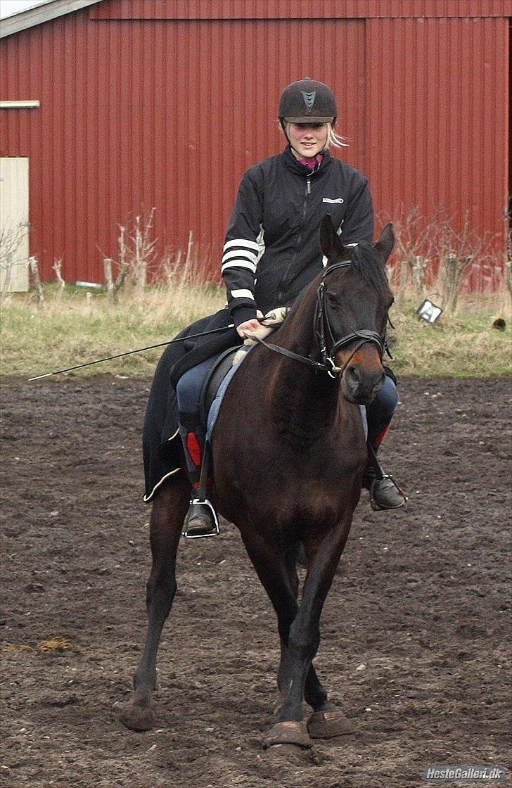 Anden særlig race Conrad <3 billede 11