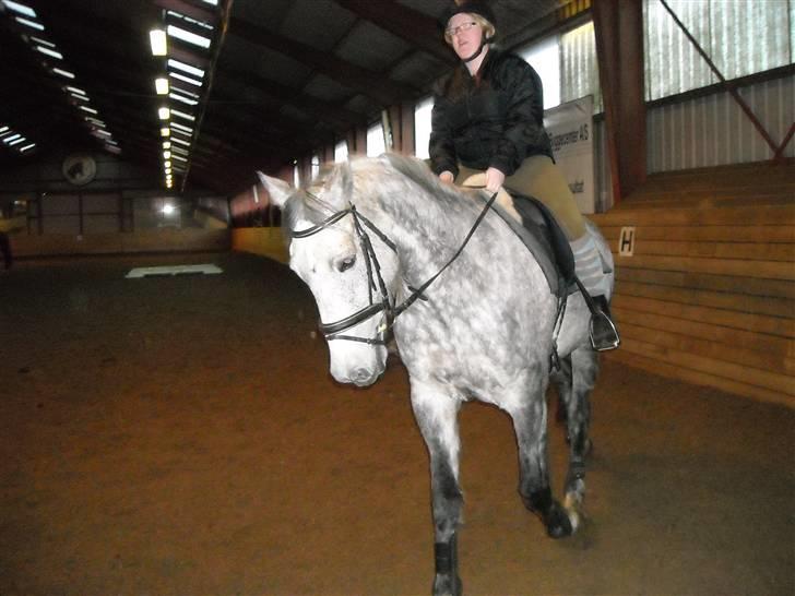 Hollandsk Varmblod Sandy RIP - En af de første gange jeg rider min dejlige hest.  billede 3