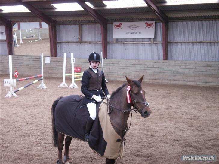 Anden særlig race Chestnut - Vores første stævne fik en 1 plads:) billede 13