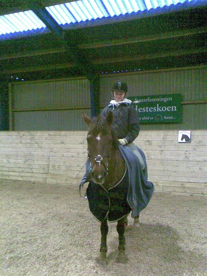 Anden særlig race Chestnut - Chestnut . billede 16