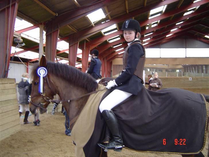 Anden særlig race Chestnut - Derefter fik vi en 2 plads i LB (Sammen dag) billede 17