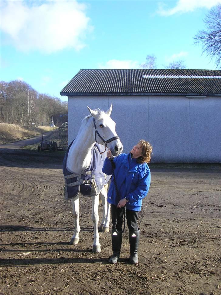Hannoveraner Ribana - Karin, hendes ejer og Ribsen:) billede 6