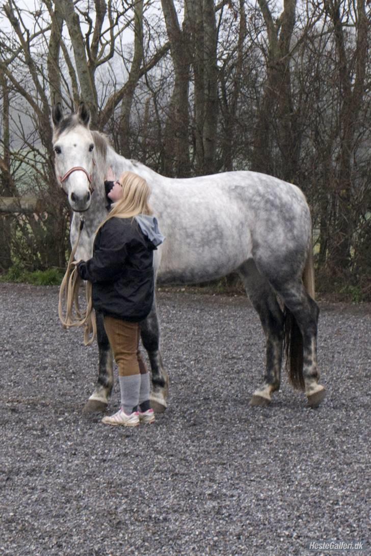 Hollandsk Varmblod Sandy RIP - Mig med min meget store hest.  billede 15