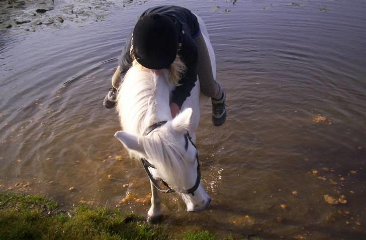 Anden særlig race Sabell <3  (R.I.P) - På en lille tur med Sarah Rhod. Sidste dag med hende.:-/ billede 12