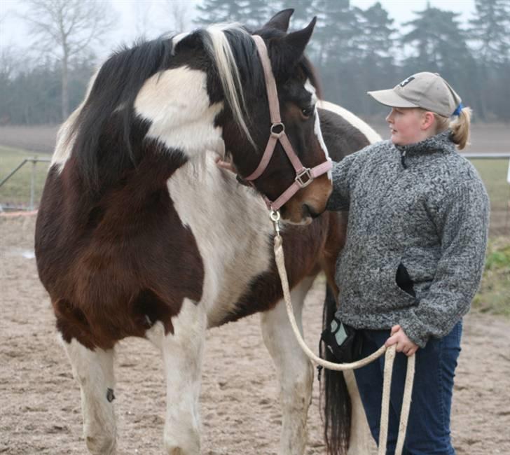 Anden særlig race Gosha (Solgt) - Hallo har du flere guffer billede 10