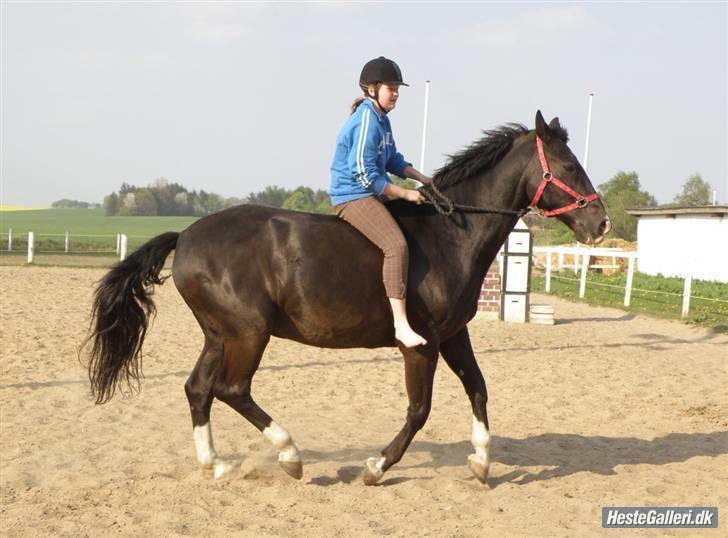 Dansk Varmblod Lady Hunter  - Mig og Hunter uden sadel i galop - Grime og træktov...! <3 billede 16