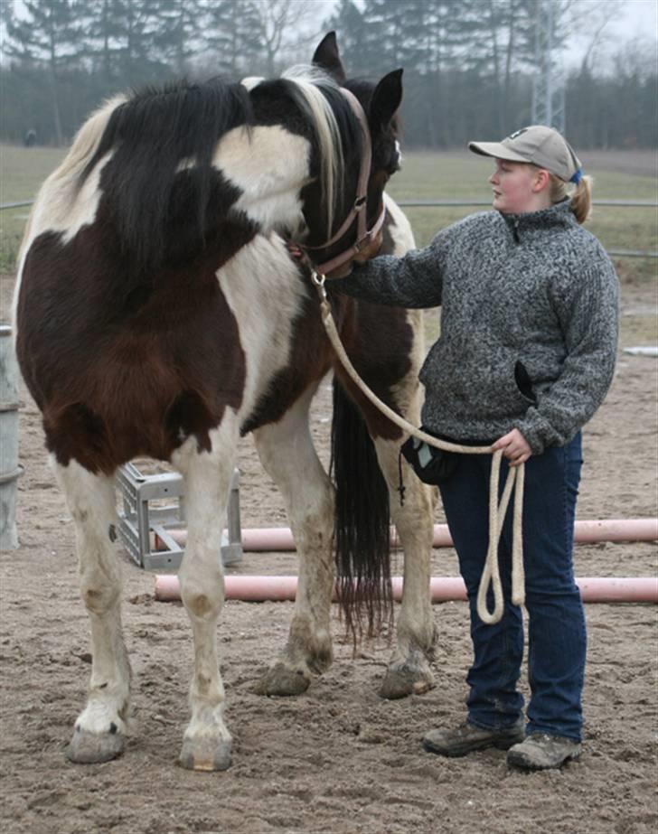Anden særlig race Gosha (Solgt) billede 11