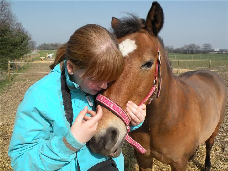 Anden særlig race Komet MIN FOR ALTID - Elsker dig<33 billede 14