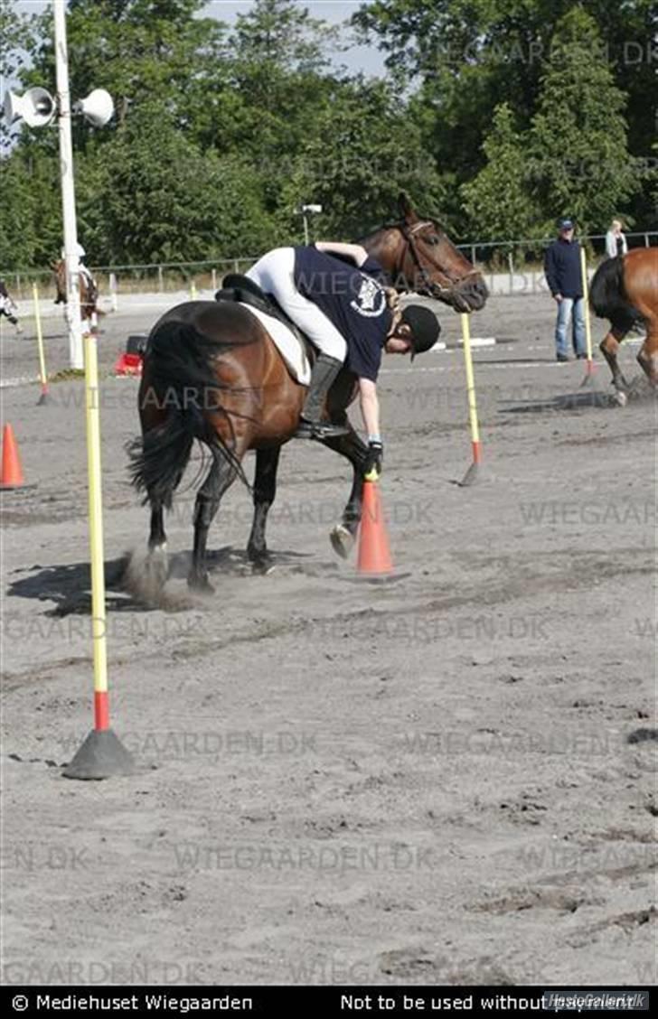 Oldenborg Rexido - Landsfinalerne i ponygams, er ret stolt over at jeg kunne nå den bold=D billede 20