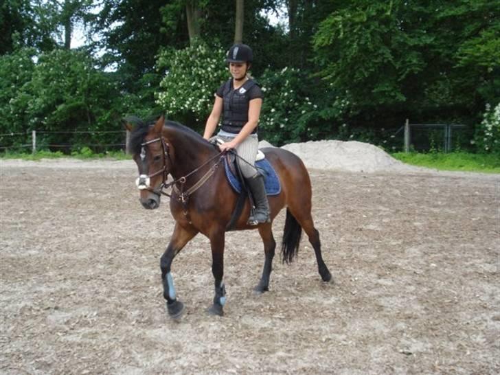 Anden særlig race Lady billede 12