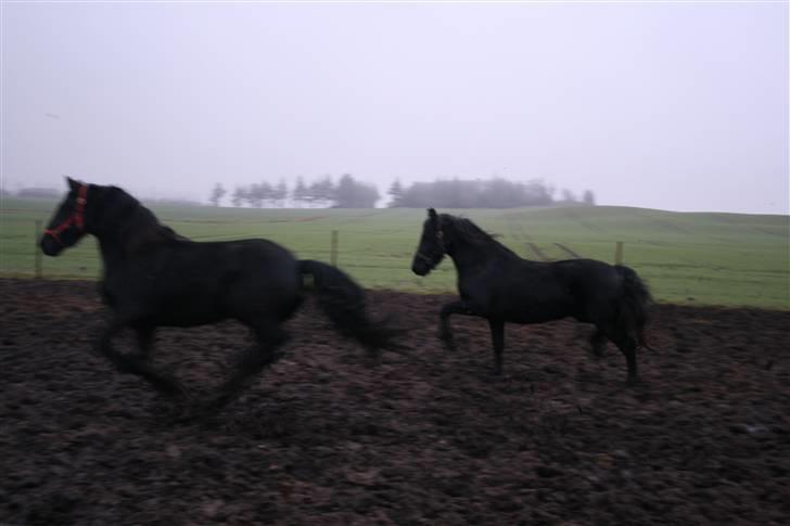 Frieser Vemke van de Klei-SOLGT - Det er Vemke med den mørke grime... billede 18