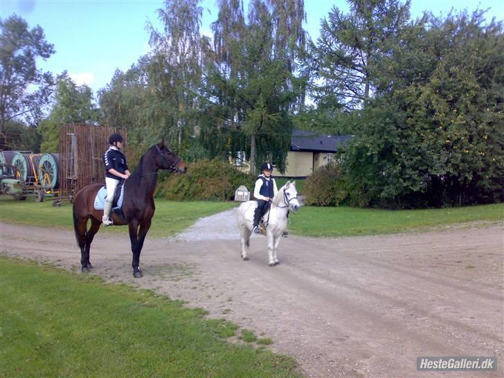 Anden særlig race • SNEHVIDE •  - 9) På vej hjem forbi min farmor, så hun kunne se skønheden :-))
(Foto: Farfar) billede 9