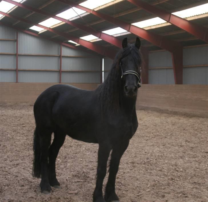 Frieser Rieuwkje G. - SOLGT billede 2