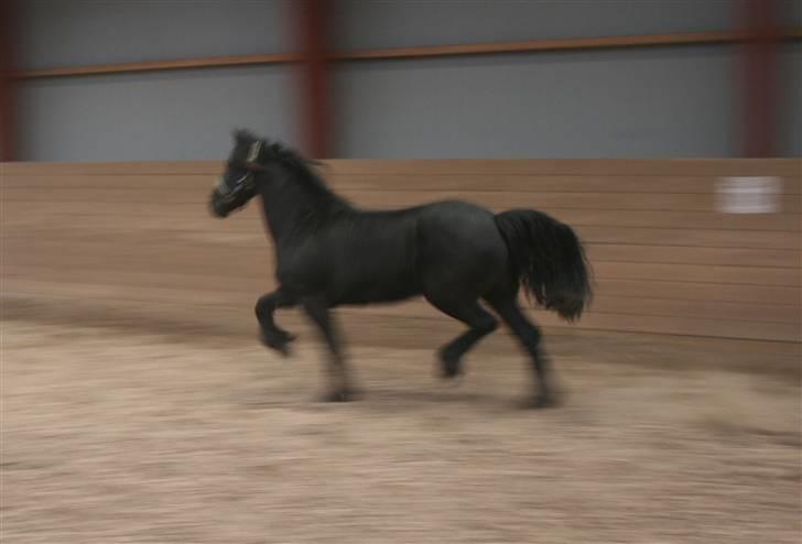 Frieser Rieuwkje G. - SOLGT billede 3