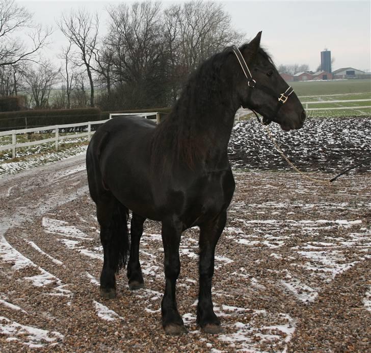 Frieser Rieuwkje G. - SOLGT billede 5