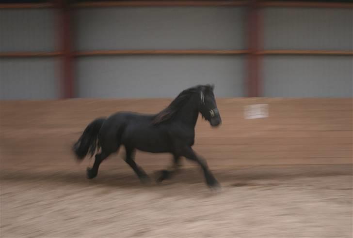 Frieser Rieuwkje G. - SOLGT billede 8