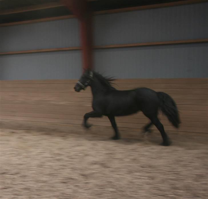 Frieser Rieuwkje G. - SOLGT billede 9